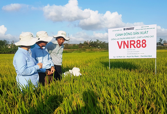 Nâng cao hiệu quả quản lý nhà nước về nông nghiệp trên địa bàn tỉnh Bình Định