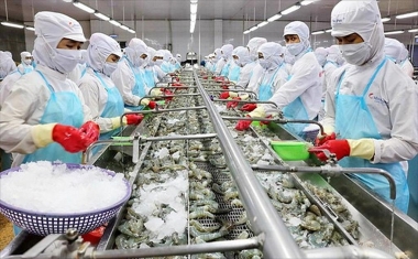 Đẩy mạnh xuất khẩu thủy sản tại vùng Kinh tế trọng điểm miền Trung