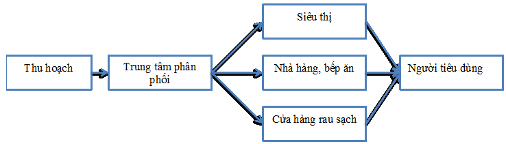 Phân tích chuỗi cung ứng khoai tây tại tỉnh Lâm Đồng