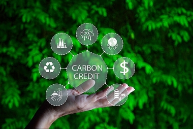 Giải pháp góp phần hài hòa quan hệ lợi ích trong phát triển thị trường carbon ở Việt Nam hiện nay