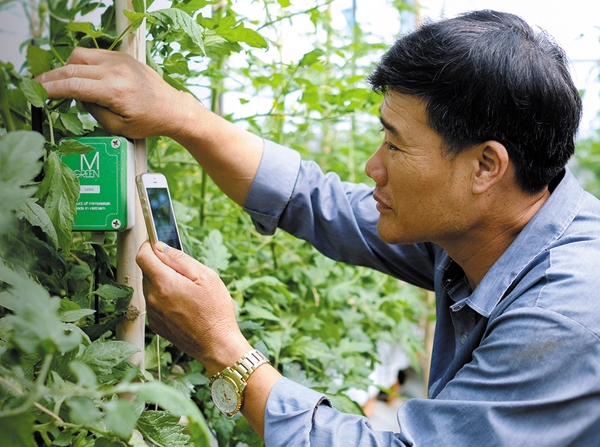 Chuyển đổi số trong xây dựng nông thôn mới: Những kết quả khả quan