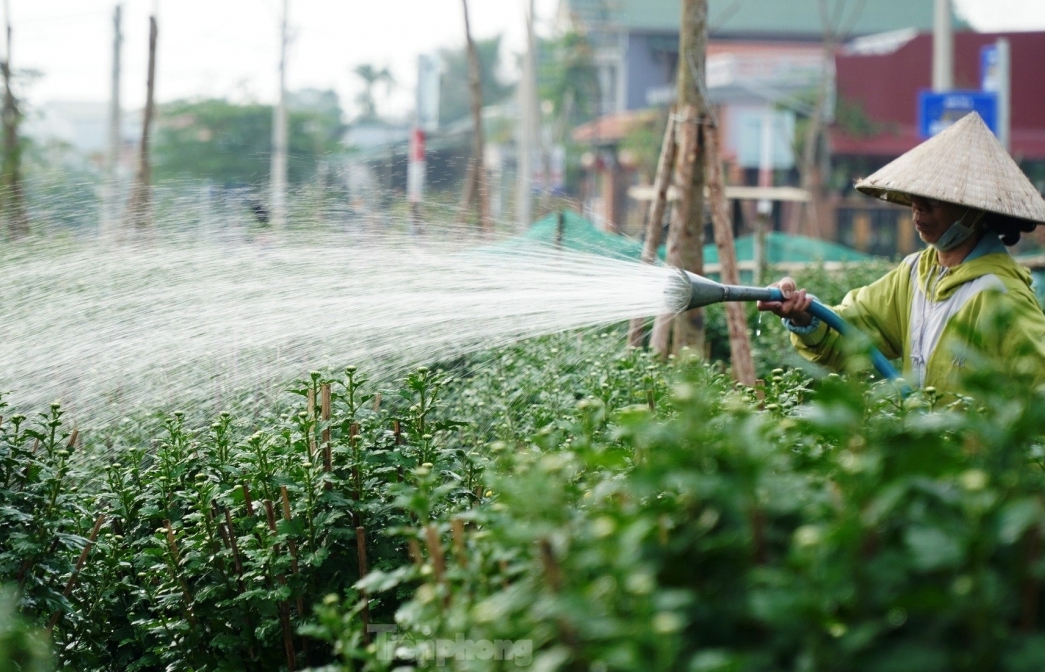 Giải pháp bảo đảm sinh kế bền vững cho hộ nông dân vùng ven TP. Huế trong bối cảnh đô thị hóa(*)