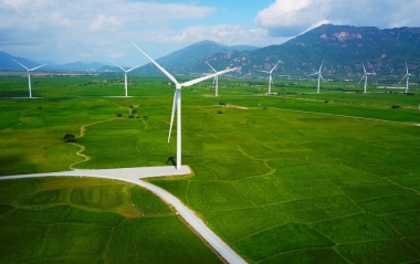 Vai trò của kinh tế xanh trong phát triển kinh tế vùng