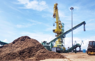 Đề xuất giải pháp nâng cao hiệu quả quản lý hải quan đối với xuất khẩu dăm gỗ