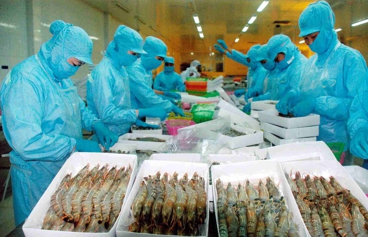 Nâng cao hiệu quả thực hiện chính sách hỗ trợ đăng ký bảo hộ sở hữu trí tuệ tại tỉnh Trà Vinh (cũ)