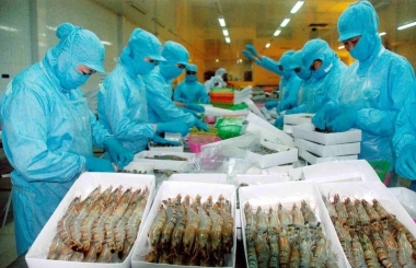 Nâng cao hiệu quả thực hiện chính sách hỗ trợ đăng ký bảo hộ sở hữu trí tuệ tại tỉnh Trà Vinh (cũ)