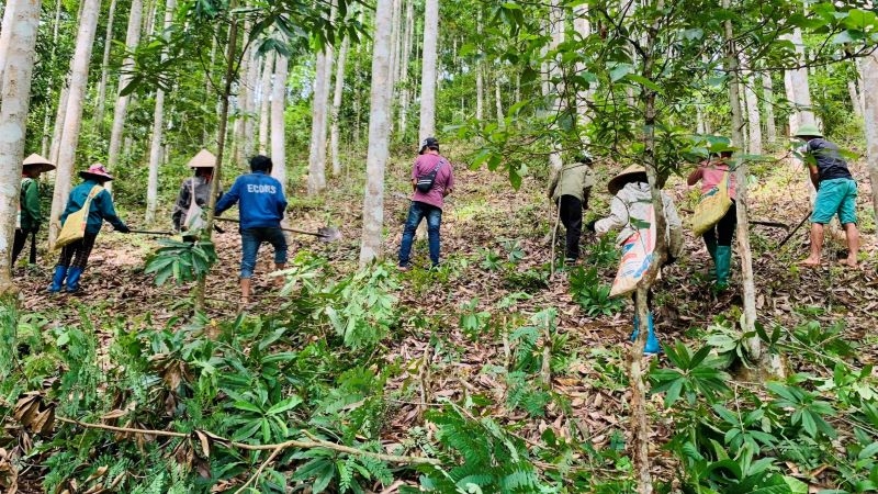 Chi cục kiểm lâm tỉnh Điện Biên triển khai nhiều giải pháp bảo vệ rừng hiệu quả