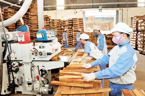 Chuyển cơ quan công an hồ sơ nhiều doanh nghiệp ngành gỗ đề nghị hoàn thuế giá trị gia