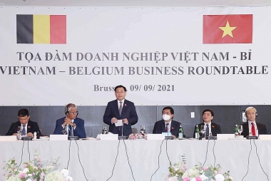 Chủ tịch Quốc hội: Việt Nam cam kết ban hành chính sách thuận lợi nhất cho nhà đầu tư