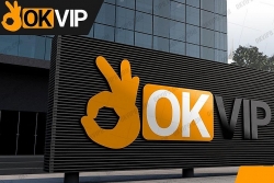 OKVIP mang đến nhiều quyền lợi hấp dẫn cho nhân viên