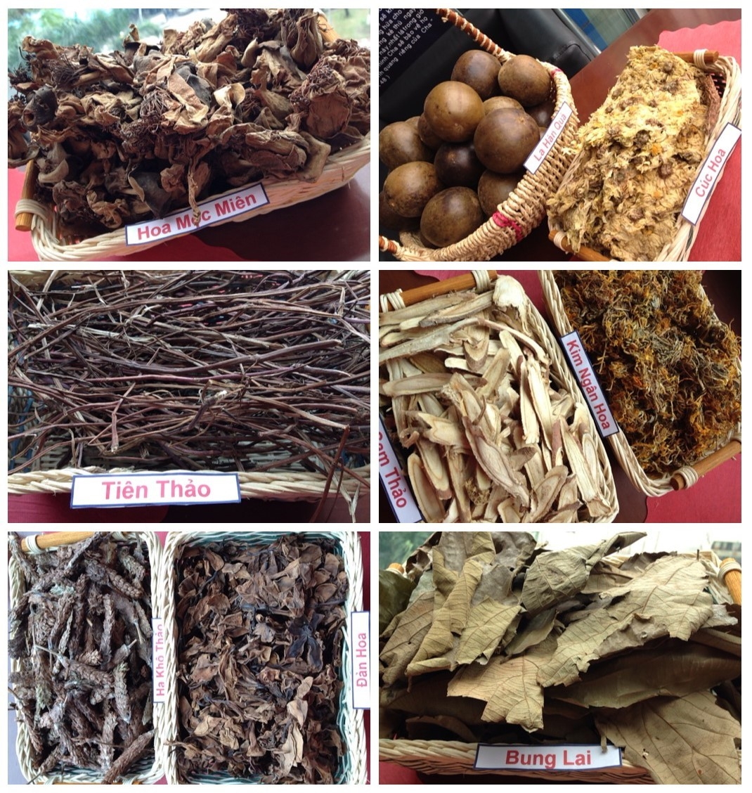 Tập đoàn trăm tuổi Nhật Bản hợp tác với Tân Hiệp Phát để nỗ lực tạo giá trị đột phá cho ngành giải khát Việt