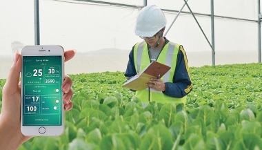 Nông nghiệp ứng dụng công nghệ cao ở Việt Nam: Khó khăn và triển vọng*