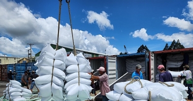 Nâng cao hiệu quả chuỗi cung ứng gạo xuất khẩu ở Việt Nam trước nguy cơ khủng hoảng lương thực toàn cầu hiện nay