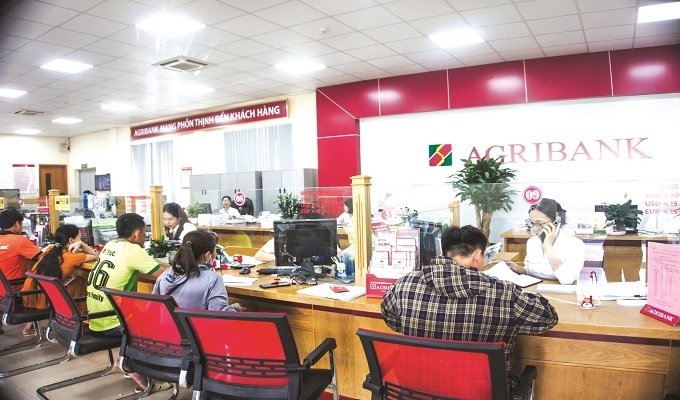 Nâng cao chất lượng thông tin trên báo cáo tài chính của các chi nhánh Agribank tại TP. Hồ Chí Minh