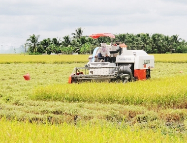 Đánh giá thực trạng phát triển ngành nông nghiệp của vùng Kinh tế trọng điểm phía Nam giai đoạn 2010-2021