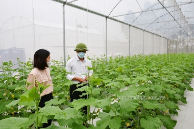 Phân tích các yếu tố ảnh hưởng tới kết quả quản lý chuỗi cung ứng xanh cho nông sản tại tỉnh Bắc Ninh
