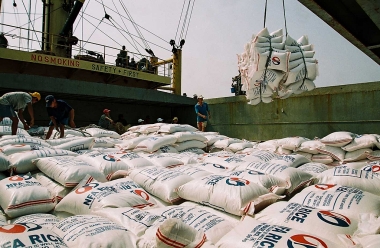 Các nhân tố ảnh hưởng đến lợi thế cạnh tranh của doanh nghiệp xuất khẩu gạo ở vùng Đồng bằng sông Cửu Long