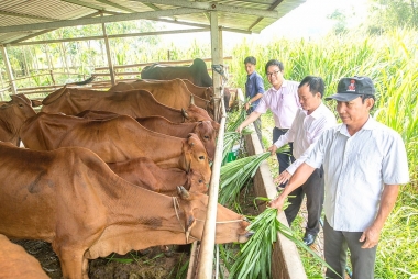 Các nhân tố ảnh hưởng đến khả năng trả nợ của hộ nghèo vay vốn tại Ngân hàng Chính sách Xã hội Chi nhánh Bình Dương