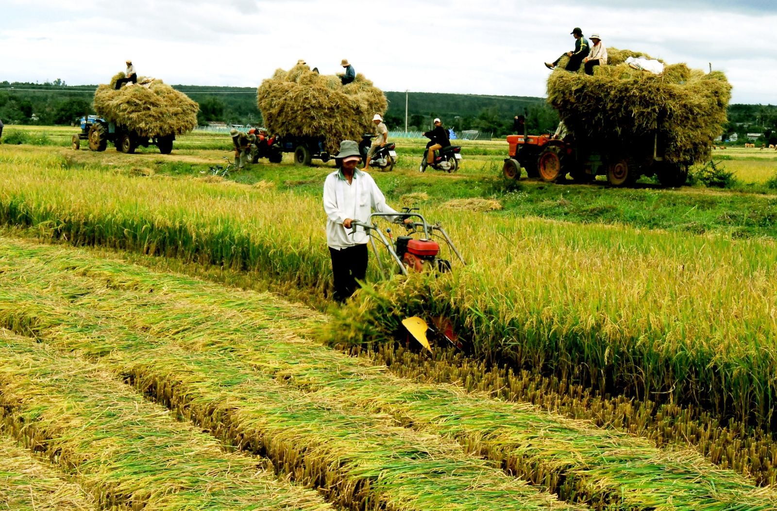 Nông dân làm gì để hội nhập? | Tạp chí Kinh tế và Dự báo
