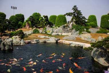 Vui xuân với văn hóa Nhật Bản tại công viên Rin Rin Park