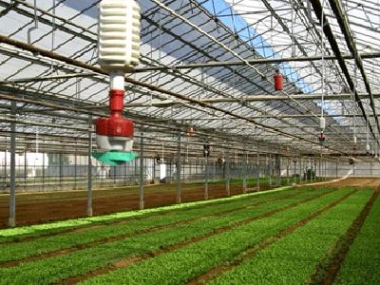 Nông nghiệp công nghệ cao của Isreal và cơ hội cho Việt Nam