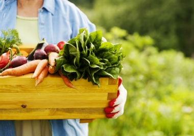 Hiểu biết thêm về sản xuất thực phẩm hữu cơ