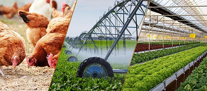 Sản xuất nông, lâm nghiệp và thủy sản trong điều kiện thuận lợi