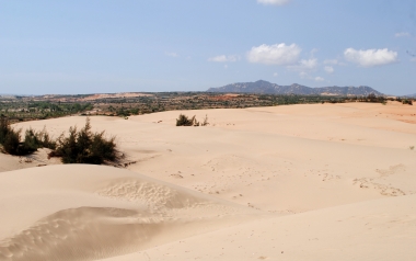 Đồi cát Nam Cương - sa mạc cát thú vị và ấn tượng bậc nhất Việt Nam!