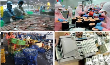 VASEP kiến nghị về việc kiểm soát chất lượng cá tra sang Trung Quốc
