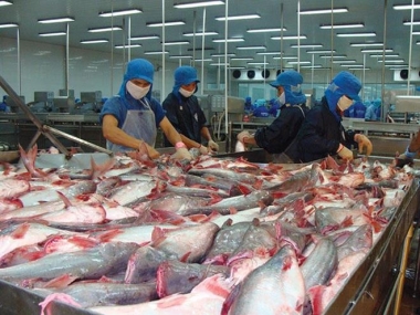 Quý II/2021, xuất khẩu cá tra kỳ vọng tiếp tục tăng trưởng