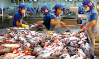 Thượng viện Mỹ hủy bỏ Chương trình Giám sát cá da trơn
