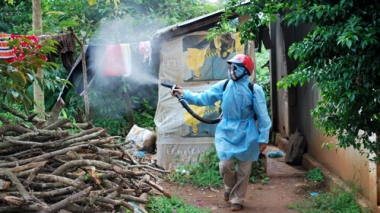 Bộ Y tế: Khẩn trương phòng chống sốt xuất huyết và Zika