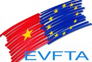 Để tận dụng tối đa các cơ hội từ EVFTA