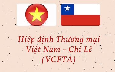 Thương mại Việt Nam - Chile tăng 6,5%/năm trong 10 năm có Hiệp định VCFTA