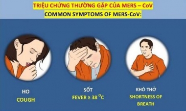 Việt Nam khẩn cấp phòng, chống dịch MERS-CoV