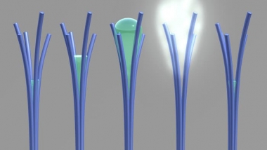 Thanh nano có thể hút nước từ không khí
