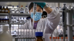Công bố các cơ sở được nhập khẩu vaccine, sắp tiêm thử nghiệm vaccine Việt Nam với 13.000 người