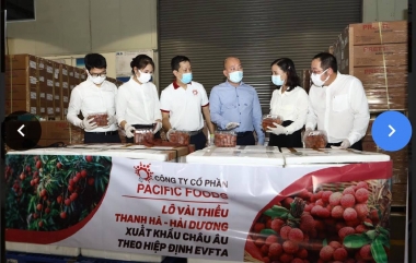 Vải thiều Việt Nam “nhận trái ngọt” từ EVFTA
