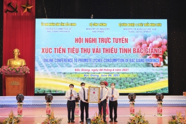 Xúc tiến tiêu thụ vải thiều tỉnh Bắc Giang năm 2021
