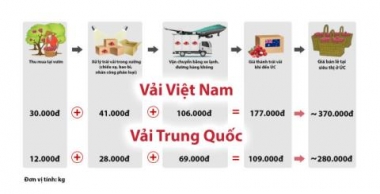Trái vải Việt Nam: Có hay không lợi thế cạnh tranh?