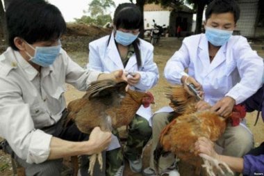 FAO tài trợ 2,1 triệu USD để giảm rủi ro tới sức khỏe con người từ động vật