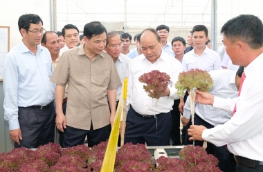 Sản xuất nông nghiệp công nghệ cao - hướng đi quan trọng của ngành nông nghiệp Việt