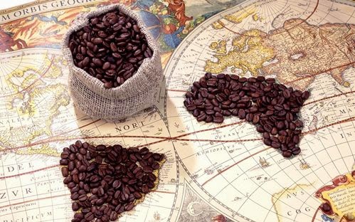 Sản lượng cà phê toàn cầu và các dự báo