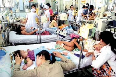 Bộ Y tế họp khẩn vì dịch sốt xuất huyết bùng phát mạnh