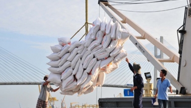 3 điều kiện mới về kinh doanh xuất khẩu gạo