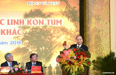 Thủ tướng kêu gọi các DN đầu tư vào sứ mệnh phát triển sâm Ngọc Linh