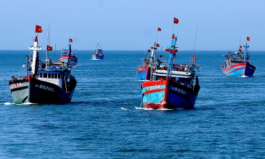 Đẩy mạnh các hoạt động chống khai thác hải sản bất hợp pháp