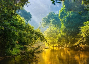 Những điều bí ẩn ở "thế giới" rừng rậm Amazon