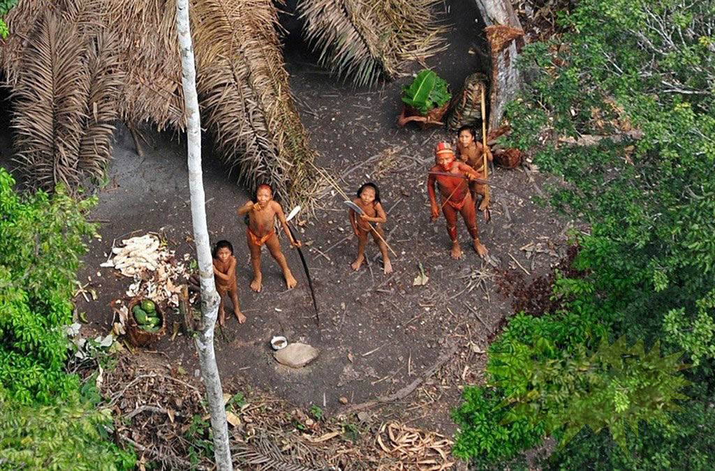 Tồn tại nhiều bộ tộc chưa ai biết tới đang sống rải rác trong rừng.