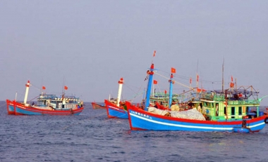 Chấm dứt tình trạng tàu cá Việt Nam vi phạm khai thác hải sản ở vùng biển nước ngoài